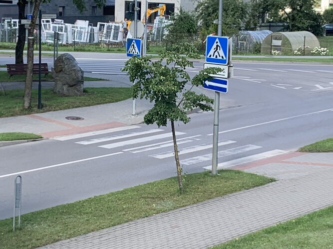 Teismas panaikino už per perėją nepraleisto pėsčiojo, vairuotojai paskirtą baudą 
